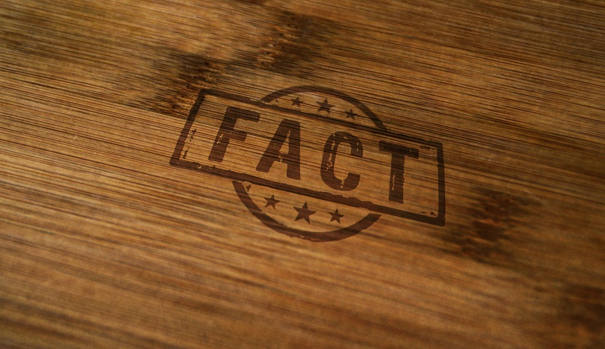 15 Fun Facts about Wood